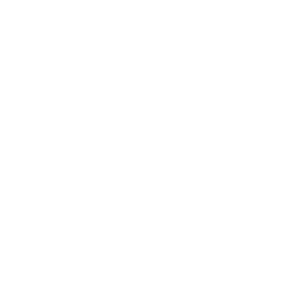 Blockchains Experts